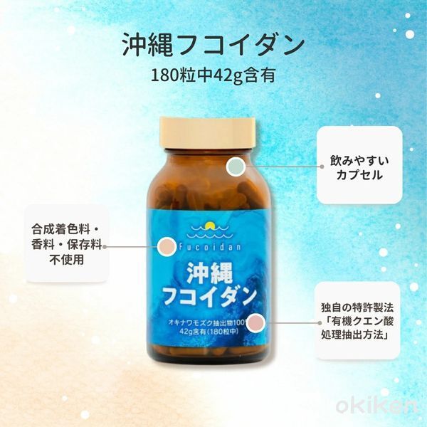 日本金秀生物株式會社 - 沖繩褐藻糖膠 42g 一盒180粒  兩盒 2029年1月31日到期 平行進口